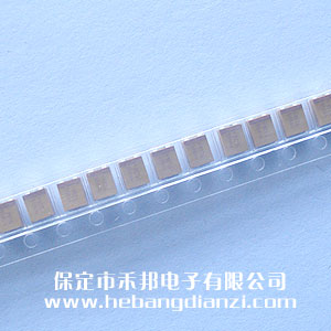 100UF NƬg 10V